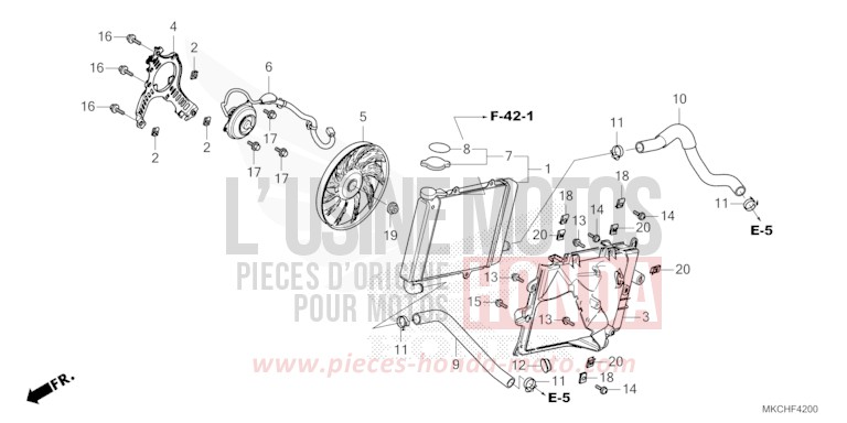 RADIATOR (R.) for Gold Wing CANDY ARDENT RED (R367B) from 2021
